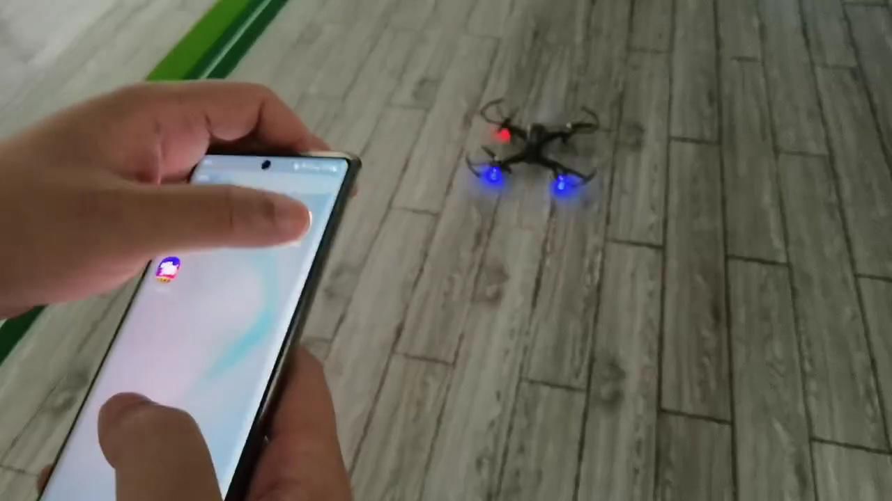 FPV dragon
